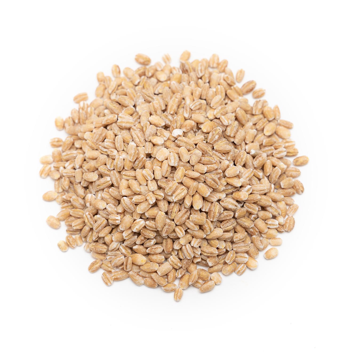 Barley