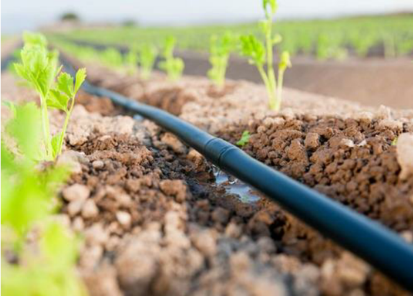 Drip Irrigation