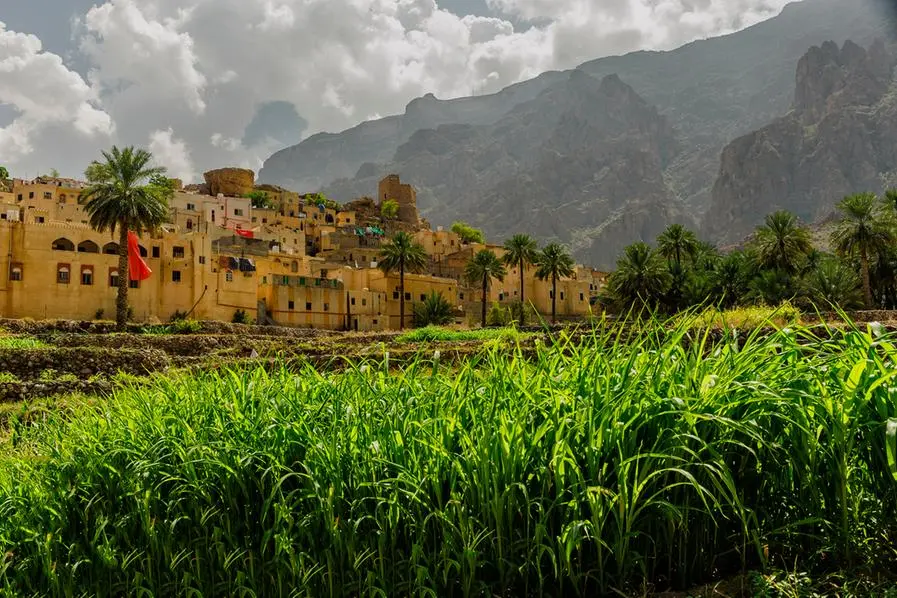 Soil types background